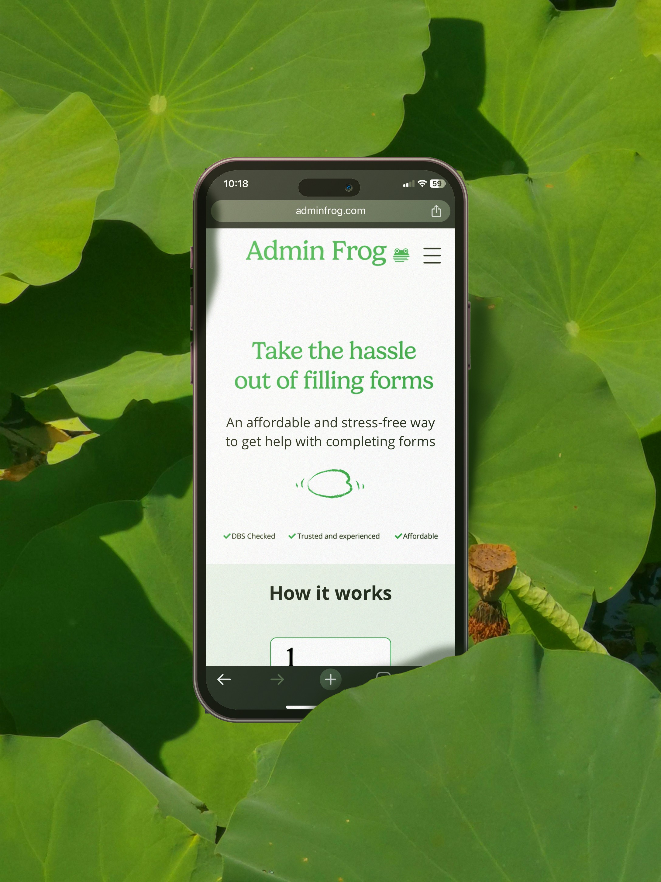 admin frog branding